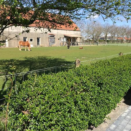 Vakantiewoningen De Schelp เรอเนสเซอ ภายนอก รูปภาพ