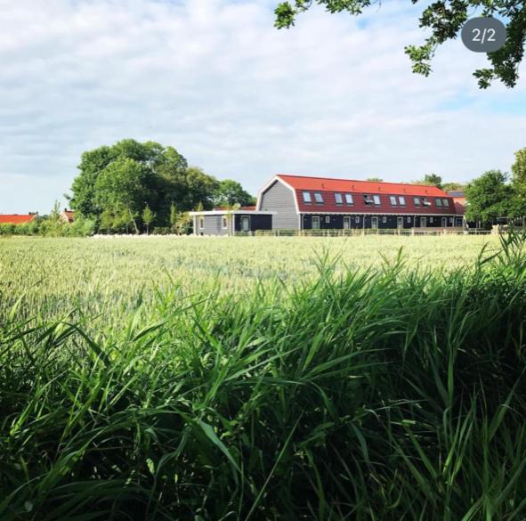 Vakantiewoningen De Schelp เรอเนสเซอ ภายนอก รูปภาพ