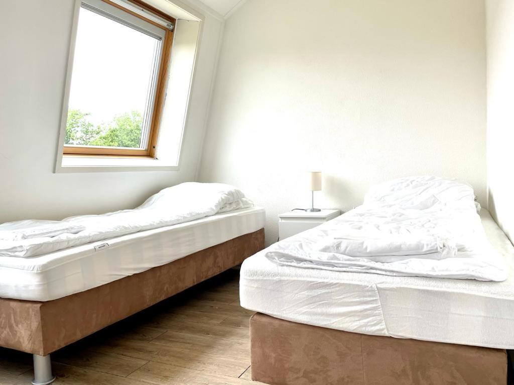 Vakantiewoningen De Schelp เรอเนสเซอ ภายนอก รูปภาพ