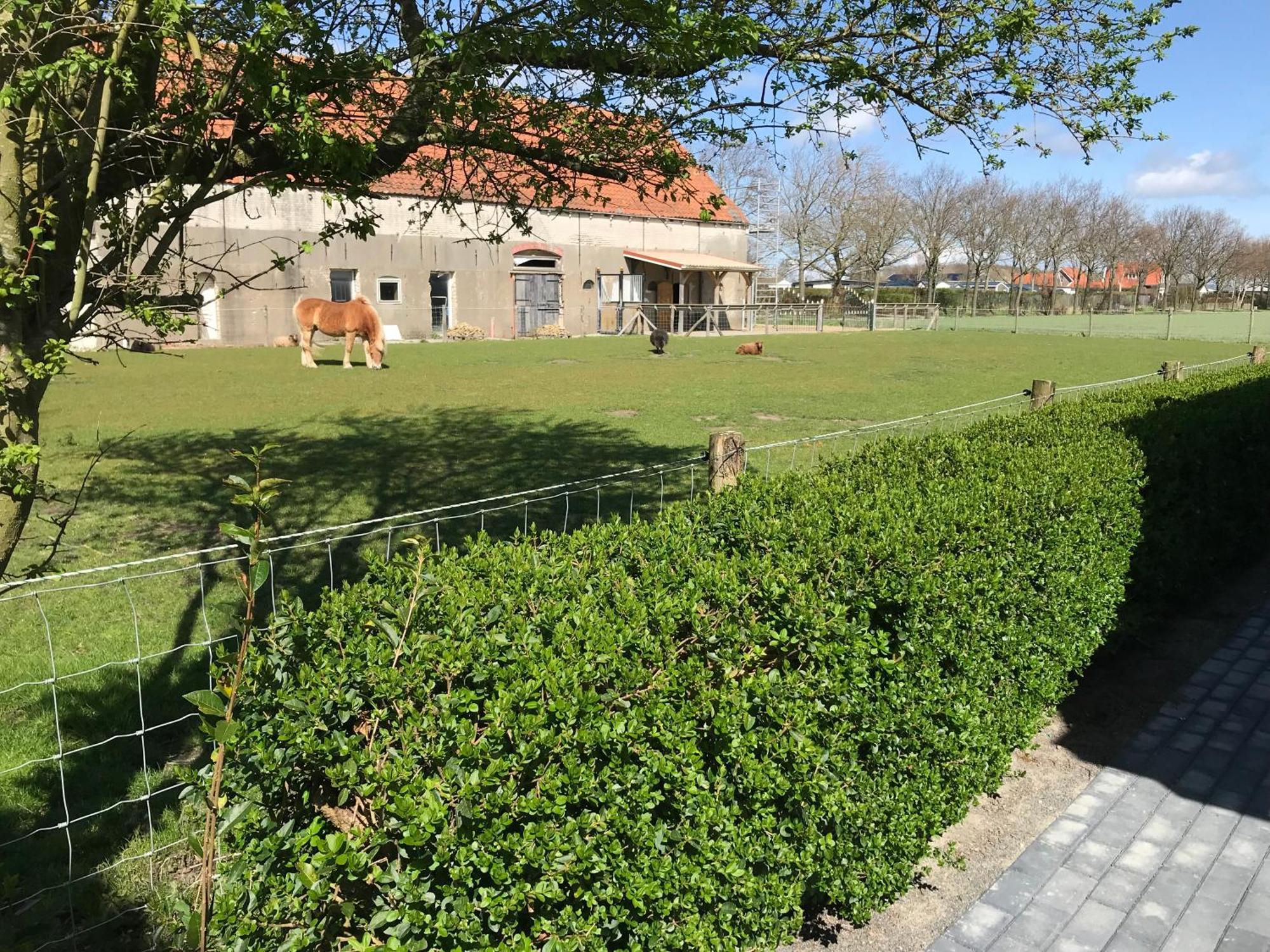 Vakantiewoningen De Schelp เรอเนสเซอ ภายนอก รูปภาพ